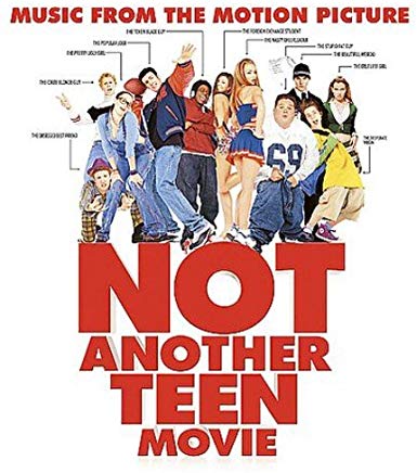 Not Another Teen Movie