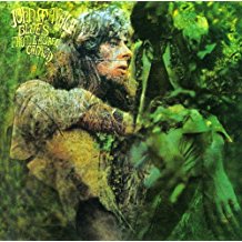 Blues From Laurel Canyon