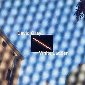 White Ladder