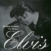 It's Now Or Never - Elvis Tribute