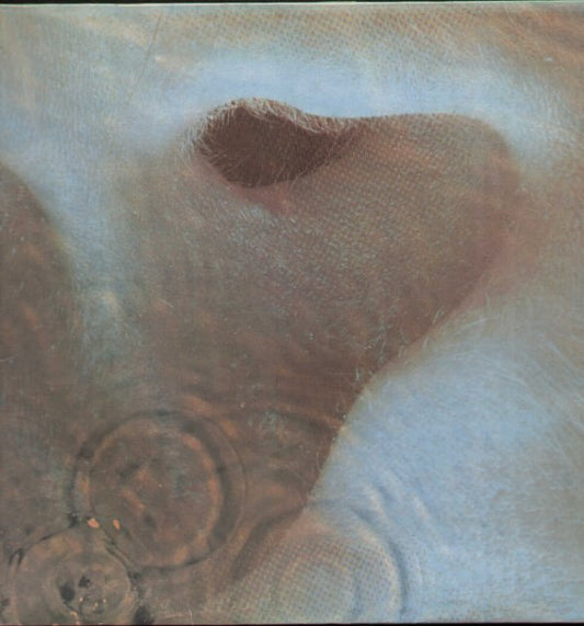 Meddle