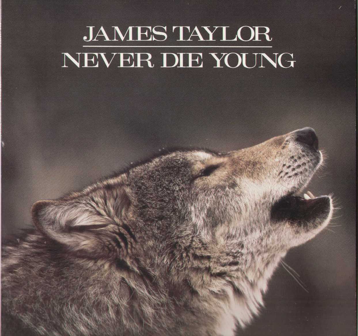 Never Die Young