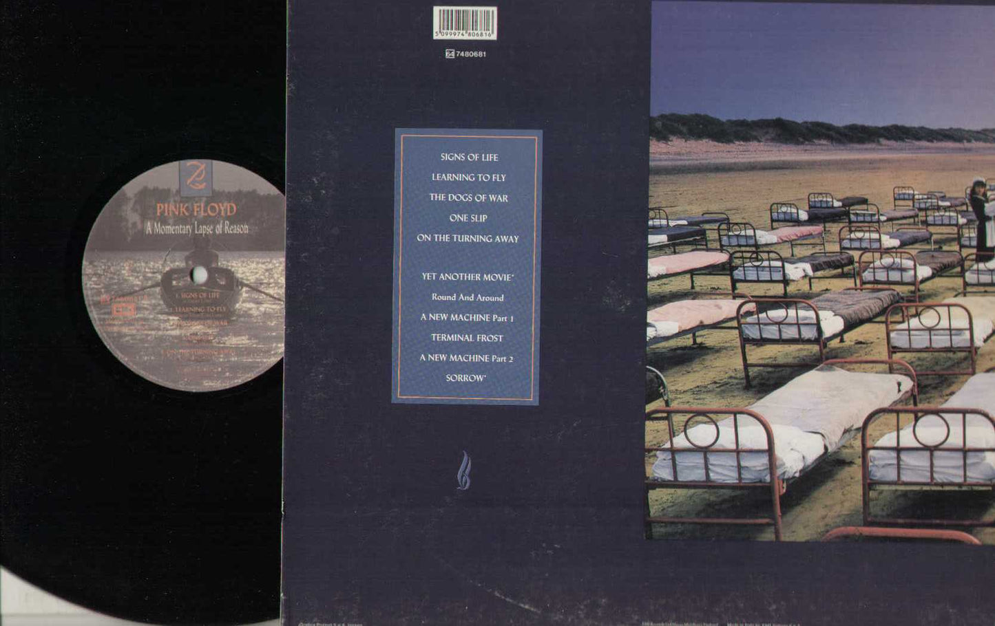 Momentary Lapse Of Reason
