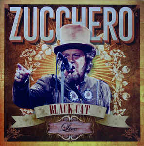 Black Cat Live