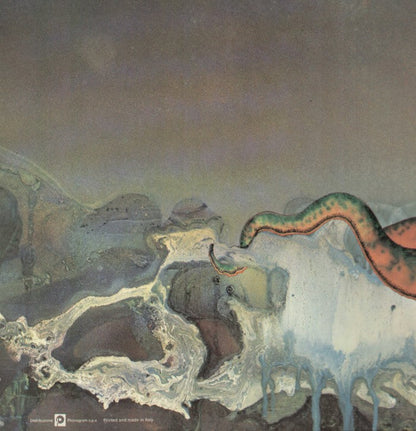 Octopus