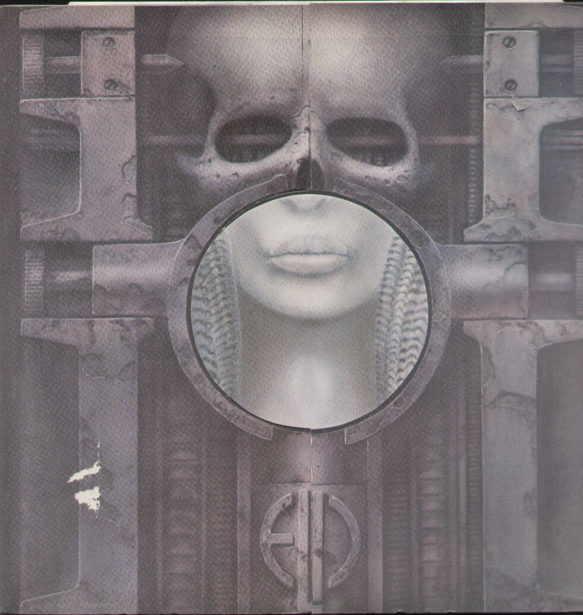 Brain Salad Surgery