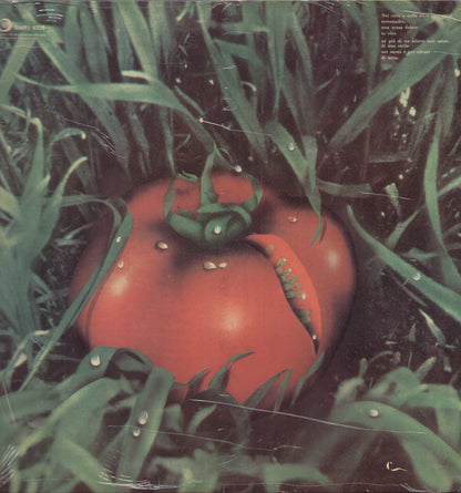 Di Terra