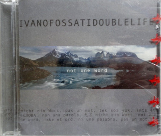 Double Life - Not One Word