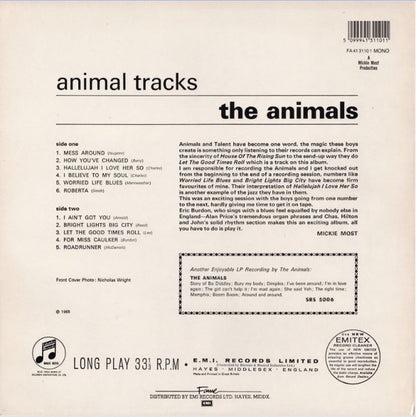 Animal Tracks