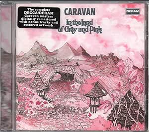 In The Land Of Grey And Pink