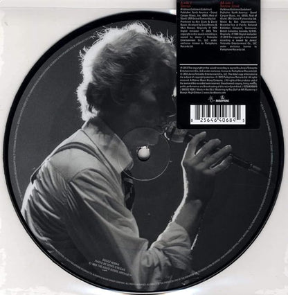 Sorrow  Limited Edition Picutre Disc