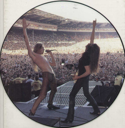 Wasted Time Picture Disc