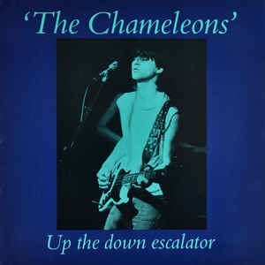 Up The Down Escalator