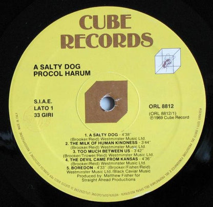 A Salty Dog