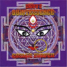Cosmic Surfer