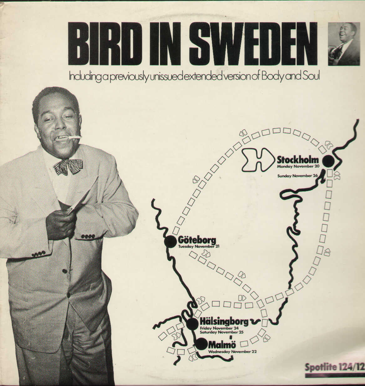 Bird In Sweden