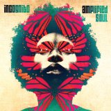 Amplified Soul
