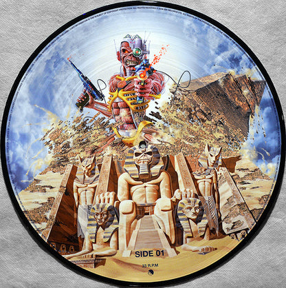 Somewhere Back In Time The Best Of 1980 1989 Pictur Disc