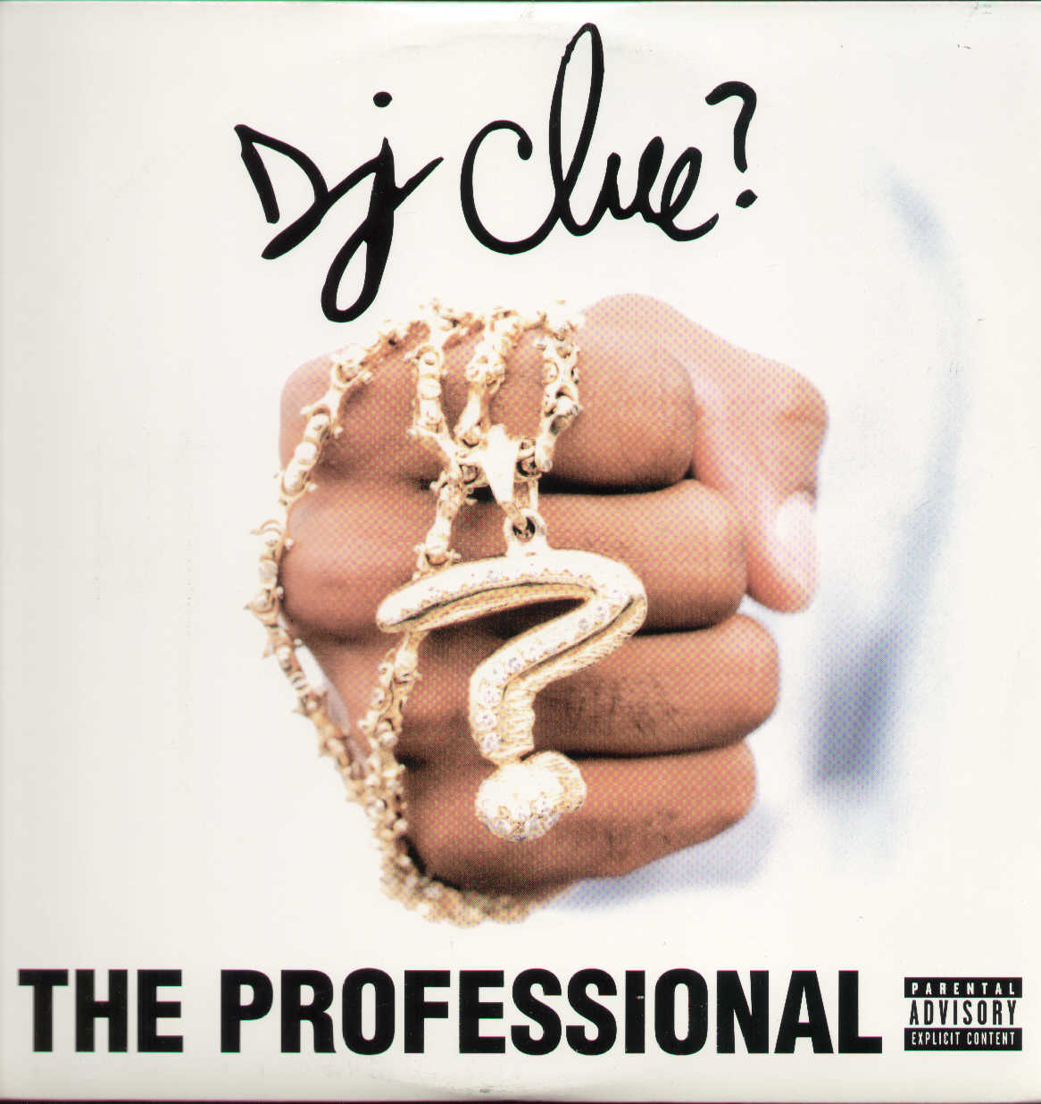 The Professional