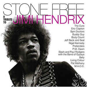 Stone Free A Tribute To Jimi Hendrix