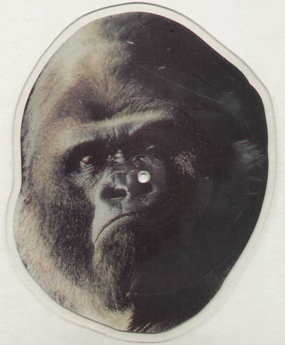 Monkey Business Limited Edition Picture Disc Shape