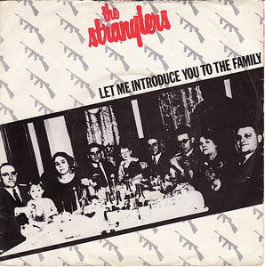 Let Me Introduce You To The Family / Vietnamerica