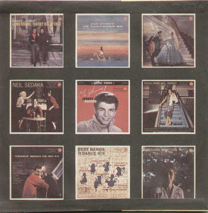 Sayonara / That's The Way It Goes