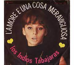 L'amore È Una Cosa Meravigliosa / Luci Del Porto