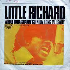 Whole Lotta Shakin Goin On / Long Tall Sally