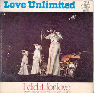 I Did It For Love / Never Never Say Goodbye