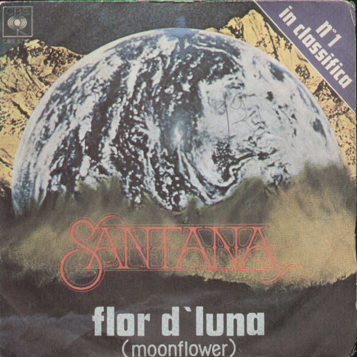 Flor D'luna Moonflower / Trancedance