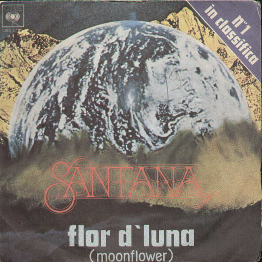Flor D'luna Moonflower / Trancedance