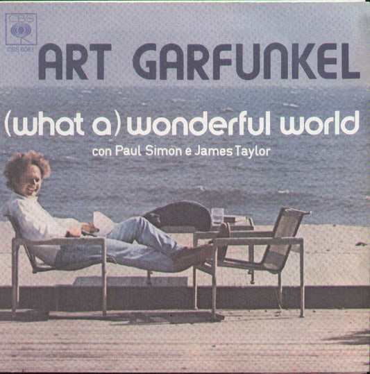 What A Wonderful World / Wooden Planes