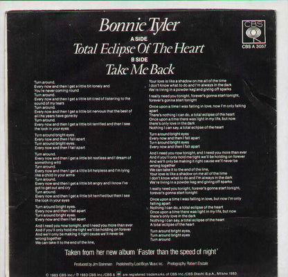 Total Eclipse Of My Heart / Take Me Back