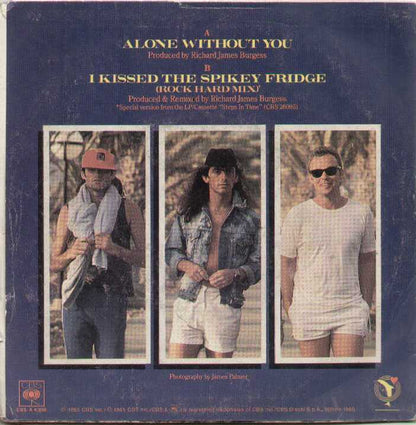 Alone Without You / I Kissed The Spikey Fridge