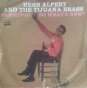 Flamingo / So What's New