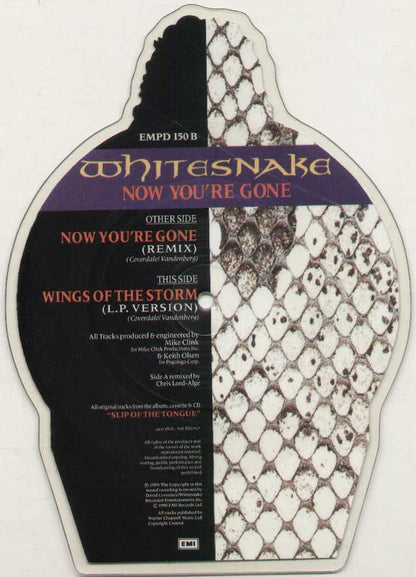 Now You're Gone Limited Edition Picture Disc Shape