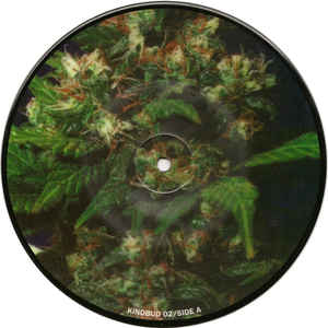 Phobia / Corrupted Picture Disc