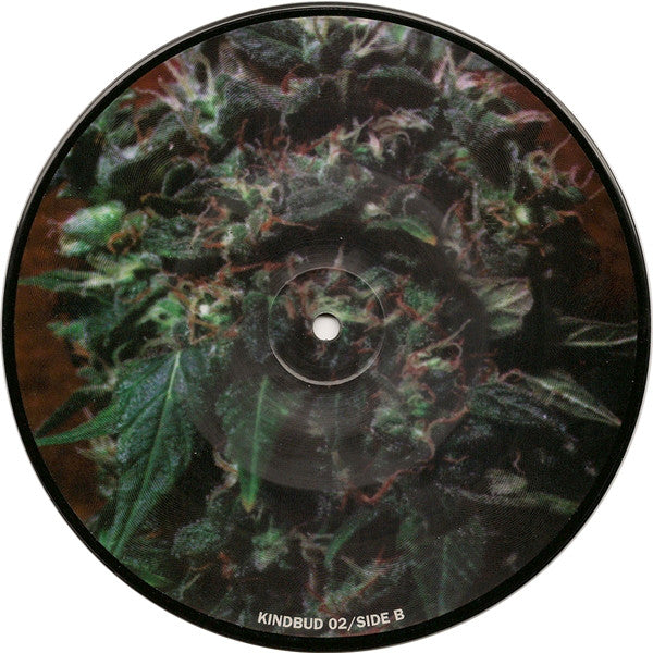 Phobia / Corrupted Picture Disc