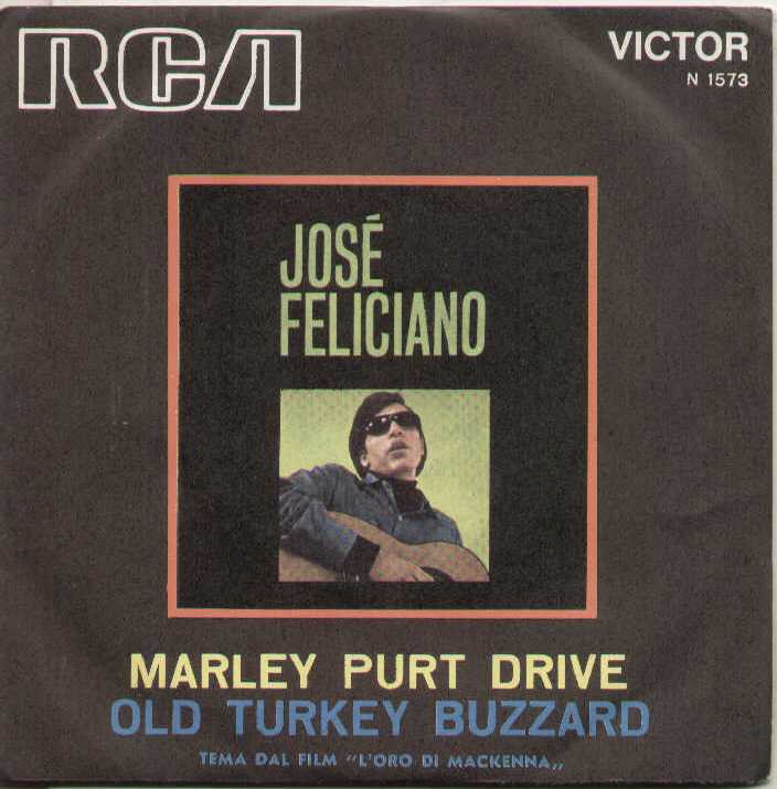Marley Purt Drive / Old Turkey Buzzard