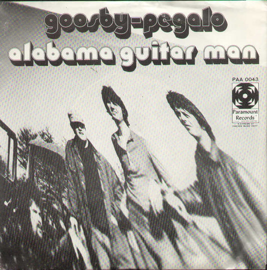 Alabama Guitar Man / Rokin Gambler
