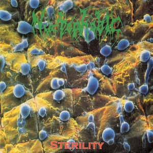 Sterility / Totally Fucking Dead