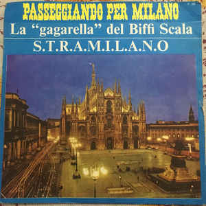 Passeggiando Per Milano