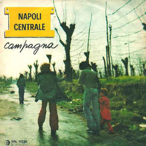 Campagna / Vico Primo Parise N.8
