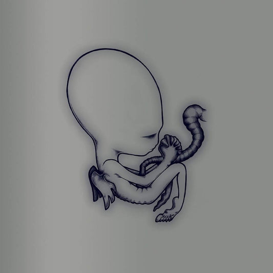 Aegtis Byrjun A Good Beginning Deluxe Edition 20Th..