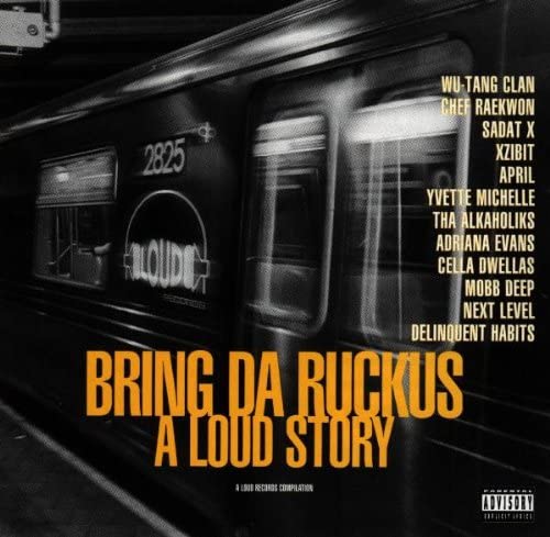 Bring Da Ruckus A Loud Story