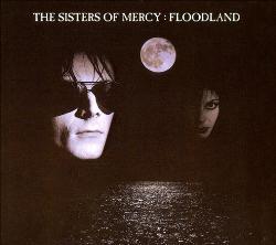 Floodland