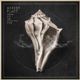 Lullaby And The Ceaseless Roar