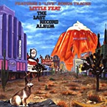 The Last Record Album