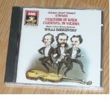 Carnival In Vienna